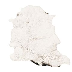 Sheep Skin